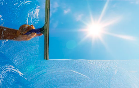 Window Cleaning